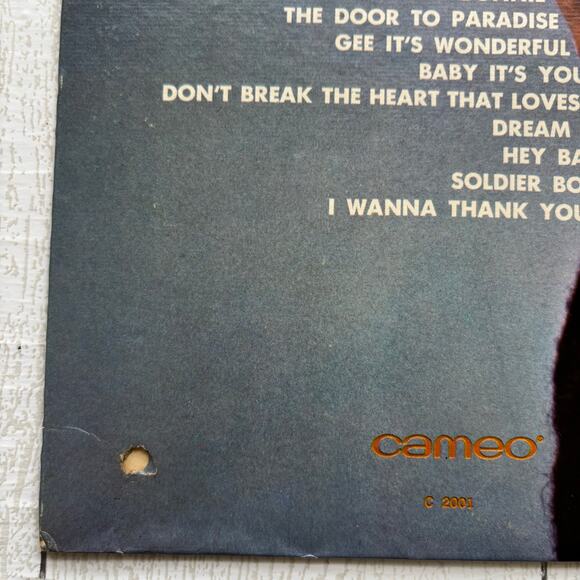 Vintage Cameo 1963 Bobby Rydell 18 Golden Hits - Picture 9 of 10